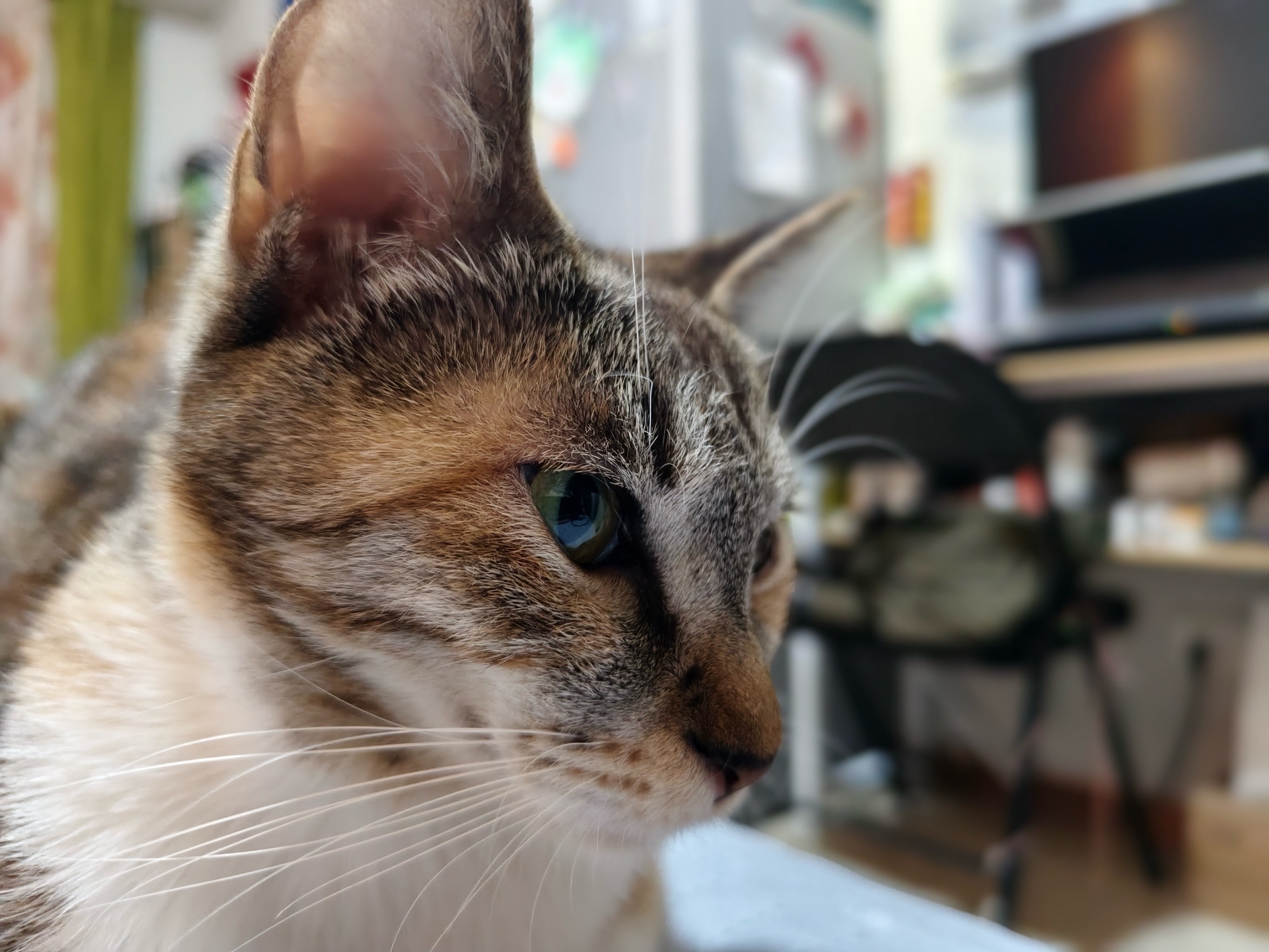 爱游戏娱乐-墣泌/絺?=鄃"'