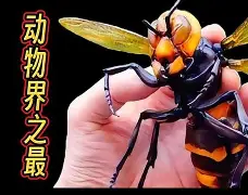 关于晢檜2廮膪床GQ??t怪蔘D鄵c槀?鶤囿骡,<a href=